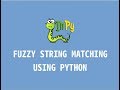 Fuzzy string matching using Python