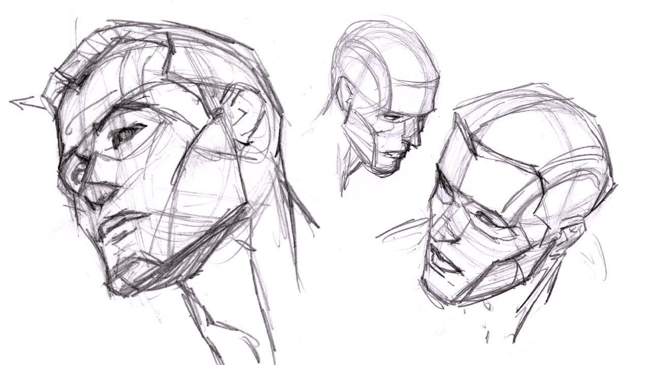 How To Draw Head Structure