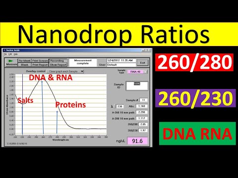 What are the common impurities in DNA sample?