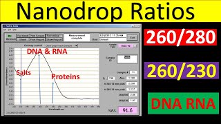 Nanodrop Ratios Explained | 260/280 ratio DNA | 260/280 ratio RNA | 260/230 Ratio | Qunatification |