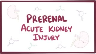 Prerenal acute kidney injury (acute renal failure) - causes, symptoms & pathology