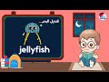 كلمات للاطفال باللغة الإنجليزية _ 50 كلمة للاطفال باللغة الإنجليزية _ اللغة الانجليزية للاطفال