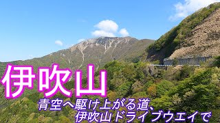 伊吹山　青空へ駆け上がる道　伊吹山ドライブウェイで　ArtlistBGMで登山動画　Google Earth Proの案内でわかりやすい登山道案内　動画と写真で百名山の山座同定を