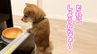 なかなか決められない子柴くん