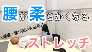 【腰が固い人】柔らかくする４つのストレッチ