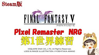 【RTA】　ファイナルファンタジー５　PR　any% NRG  【Steam版】  練習回