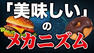 なぜ美味しいと感じるのか？ 美味しいのメカニズムについて | 食のトリビア【ビーレジェンド プロテイン】