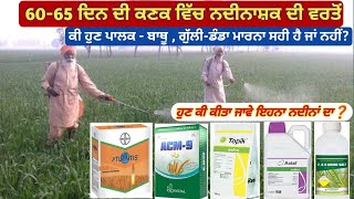 60-65 ਦਿਨ ਦੀ ਕਣਕ ਵਿੱਚ ਨਦੀਨਾਸ਼ਕ ਦੀ ਵਰਤੋਂ || Late herbicides use in wheat crop