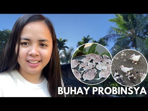 DAILY ROUTINE | BAGO PUMASOK SA OFFICE | BUHAY PROBINSYA |vlog#532