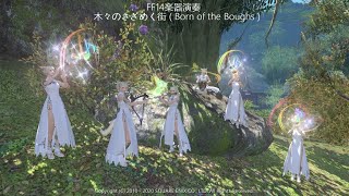 パポッテ FF14楽器演奏　木々のさざめく街 ( Born of the Boughs ) ※旧グリダニア