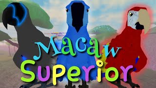 Macaw Army |Feather Family|