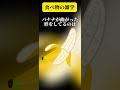 食べ物の雑学 何個知ってる？⑤ 雑学 shorts