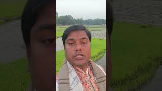 মা সবসময় #shorts #shortsvideo #shortsyoutube