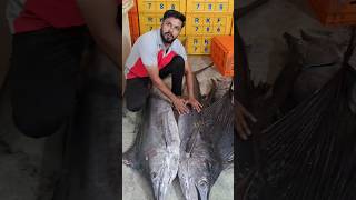 രണ്ട് കൊമ്പൻമ്മാർ😳 ഓല മീൻ |#fishingvideo