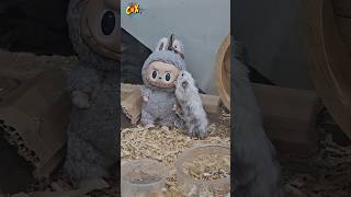 BONEKA LABUBU PINDAH SENDIRI ?