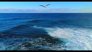 Bodyboard Canary Islands 4k, Drone Nestor Garcia