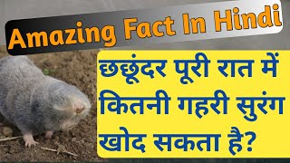 छछूंदर पूरी रात में कितनी गहरी सुरंग खोद सकता है? l #Shorts l #cocoonfact l Amazing Fact