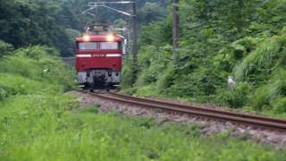 東北本線 白坂駅南側 ＥＦ８１-１４０号機 ＫＹ出場引取単機回送 2016.07.26