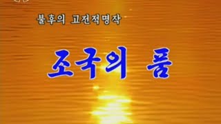 【朝鮮音楽・DPRK Music】조국의 품（祖国の懐 / The Bosom of the Homeland）功勲国家合唱団 / State Merited Chorus