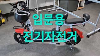 광고]A review of electric bicycles] 전기자전거를 사면?