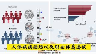 复旦大学和中科院发现指纹和基因有关