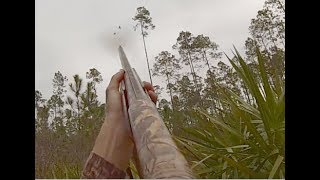 CROW HUNTING: Florida Crow Hunt