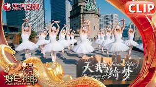 【2025东方春晚舞蹈纯享】都市芭蕾秀《天鹅绮梦》上海芭蕾舞团｜#2025东方卫视春节联欢晚会 ｜#芭蕾舞