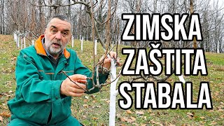 Zimska zaštita stabala