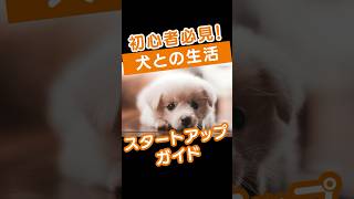 初心者必見！犬との生活スタートアップガイド #犬との生活 #初心者ガイド #犬の健康管理 #犬の環境適応 #犬のリラックススペース #ペットの栄養 #日々の散歩 #運動の重要性