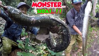 NGERI...‼️ KUMPULAN VIDEO GANASNYA PERLAWANAN SIDAT PURBA YANG BERHASIL TEREKENA PANCING | BIG EEL