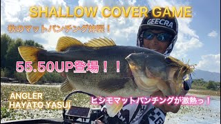 【バス釣り】55UP.50UP登場！ 秋のマットパンチングゲーム！秋のターンオーバー時は、シャローのマットパンチングが熱い！！ヒシモマット狙いが炸裂する！秋のマットパンチングゲームが炸裂する！