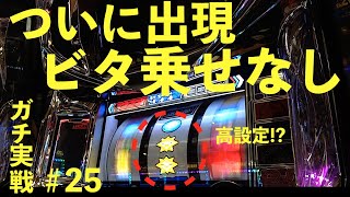 ビタ上乗せ無しが出現！チェリー重複REGが３回も…ついに高設定をツモったか！？彼女と共闘で挑む人生詰んだ３９歳ガチ実戦記録 #２５