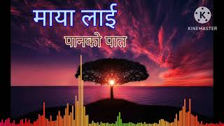 New Nepali Song 🎵 Maya lai panko pat | 2025 | Sentimental Songs #mayalai