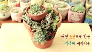 깨진 토분으로 꾸민 테라리움 Terrarium plants