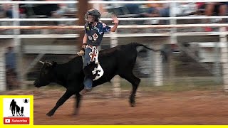 Steer Riding - 2022 Saint's Roost Ranch Rodeo | Friday