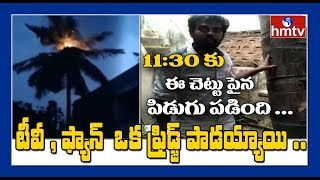 పిడుగు పడి కాలిపోయిన కొబ్బరి చెట్టు | hmtv