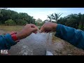 casting ikan sebarau disinilah kawasan ikan sebarau lepak dan berkumpul vlog389