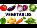 Vegetable Names with Pictures | Different Types Of Vegetables | Healthy Vegetables | Kids Learning