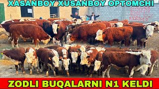 ZODLI BUQALARNI UDARLARI KELDI XASANBOY XUSANBOYLARGA  14 февраля 2025 г.