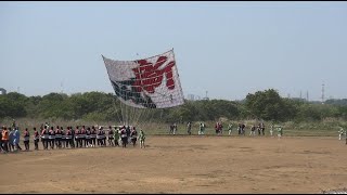 座間市大凧まつり「大凧掲揚」（2022/05/04）