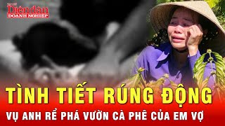 Phát hiện thêm tình tiết rúng động vụ anh rể ra tay triệt hạ vườn cà phê của em vợ | Tin tức 24h