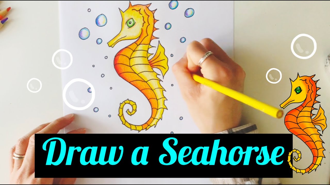 HOW TO DRAW A SEAHORSE - STEP BY STEP - EASY! - YouTube