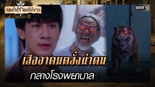 เสืออาคมคลั่งฆ่าคนกลางโรงพยาบาล | รวมซีนเด็ด จอมโจรดอกไม้ขาว Ep.12 | 8 ส.ค. 66 | one31