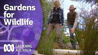 Make your garden wildlife friendly | Gardening for Wildlife | Gardening Australia