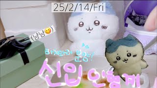 25/2/14 #신입인형계 하치와레를 분양했어요!😽 #인형계 #하치와레