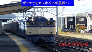 2020年10月25日カシオペア紀行ＩＮ長野【ＥＦ6437】（ザンナナ）