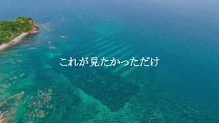 熊本県　天草市　牛深町　大島