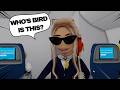 A PASSENGER LOST THEIR PET ON THE PLANE *Cabin Crew Simulator Ep14* | roblox