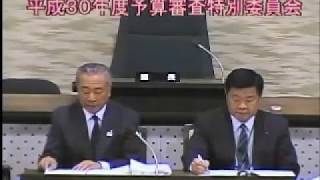 平成30年度予算審査特別委員会（審査１日目）