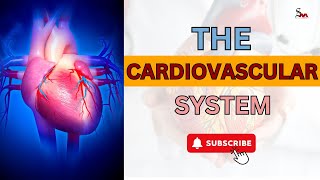 जानिए हृदय प्रणाली कैसे काम करती है | Cardiovascular System Explained